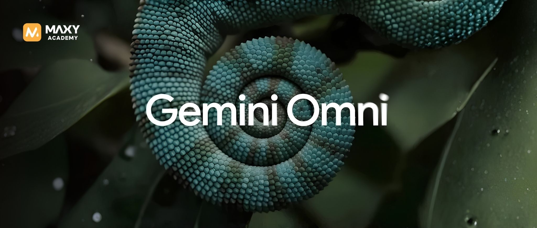 Google Rilis Gemini Omni: AI yang Bisa Mengubah Hampir Apa Saja Menjadi Video