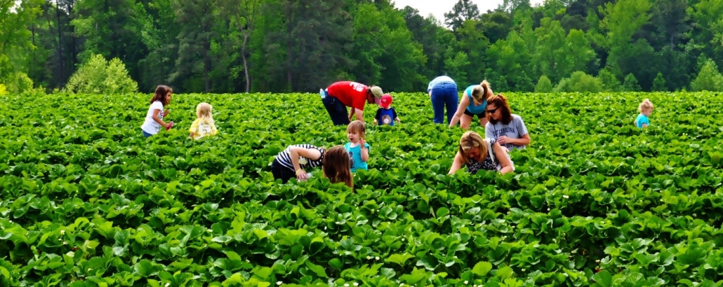 national-hackathon-tempat-lahirnya-inovasi-teknologi-untuk-sukseskan-agrotourism