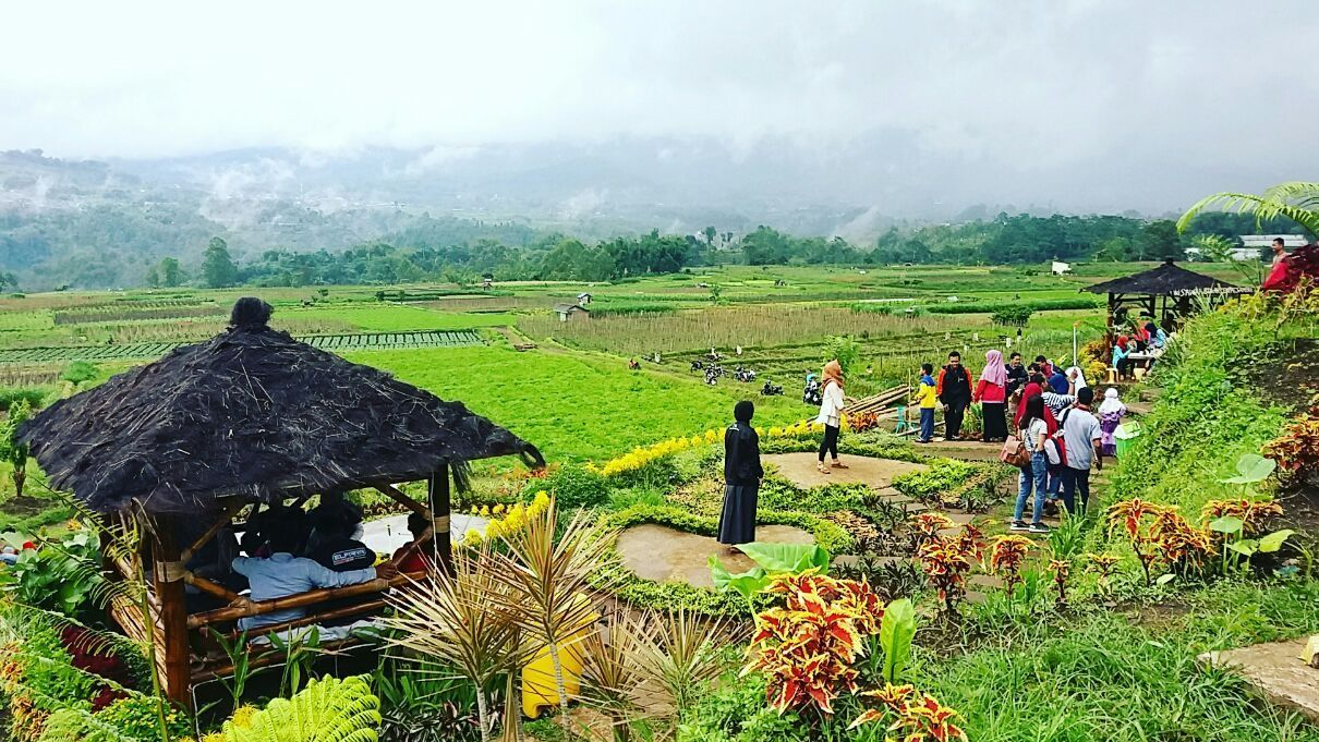 tak-disangka-impactful-and-measurable-agrotourism-bisa-ubah-desa-jadi-destinasi-favorit